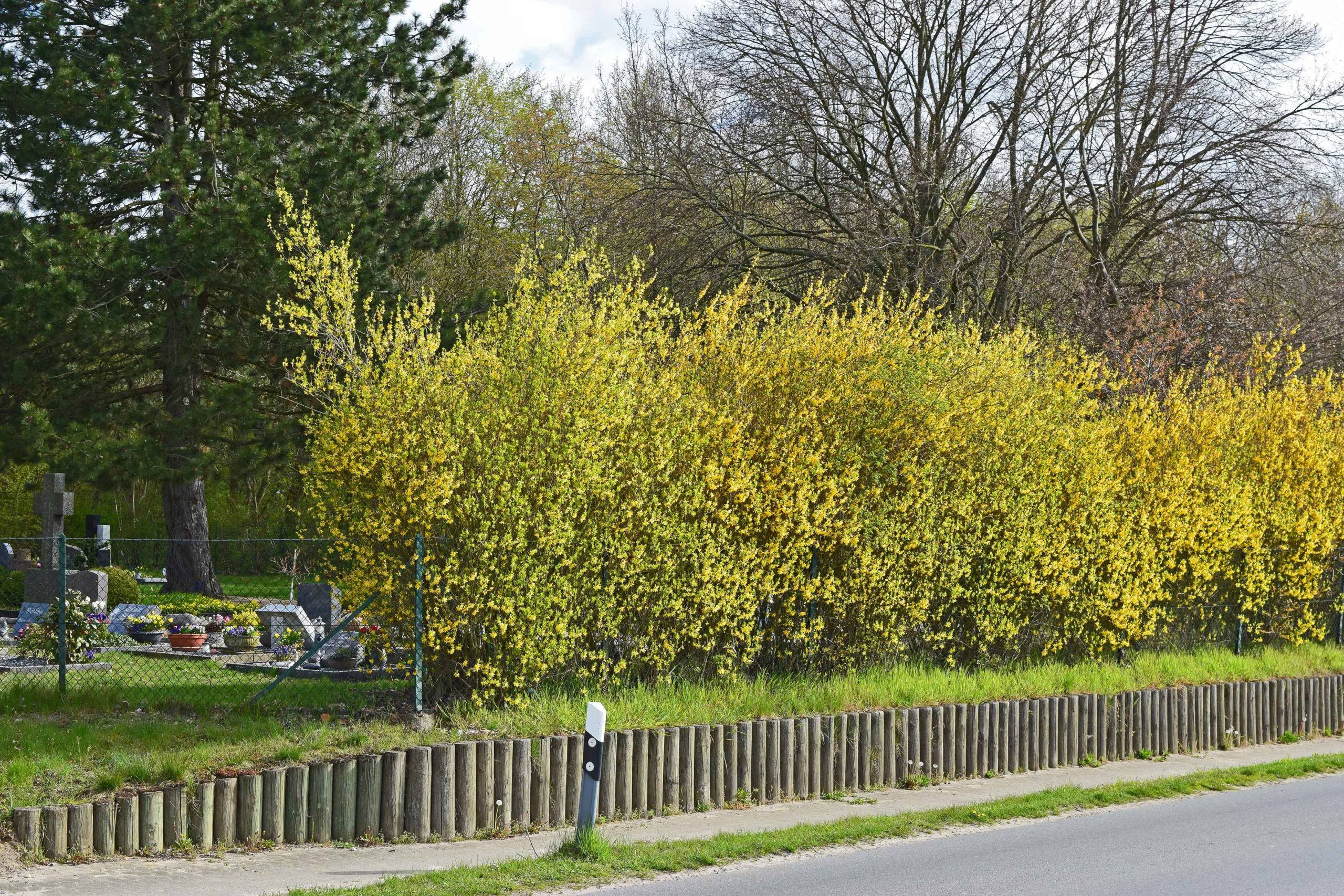 Fuß- und Radweg - Blumenstraße