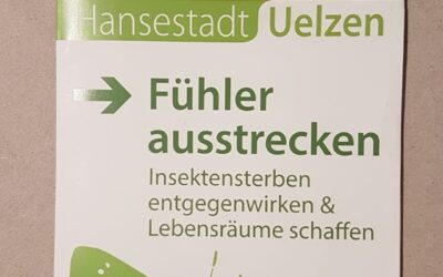 Dem Insektensterben entgegenwirken