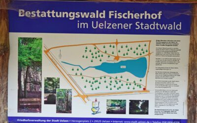 Bestattungswaldfläche der Hansestadt Uelzen wird erweitert