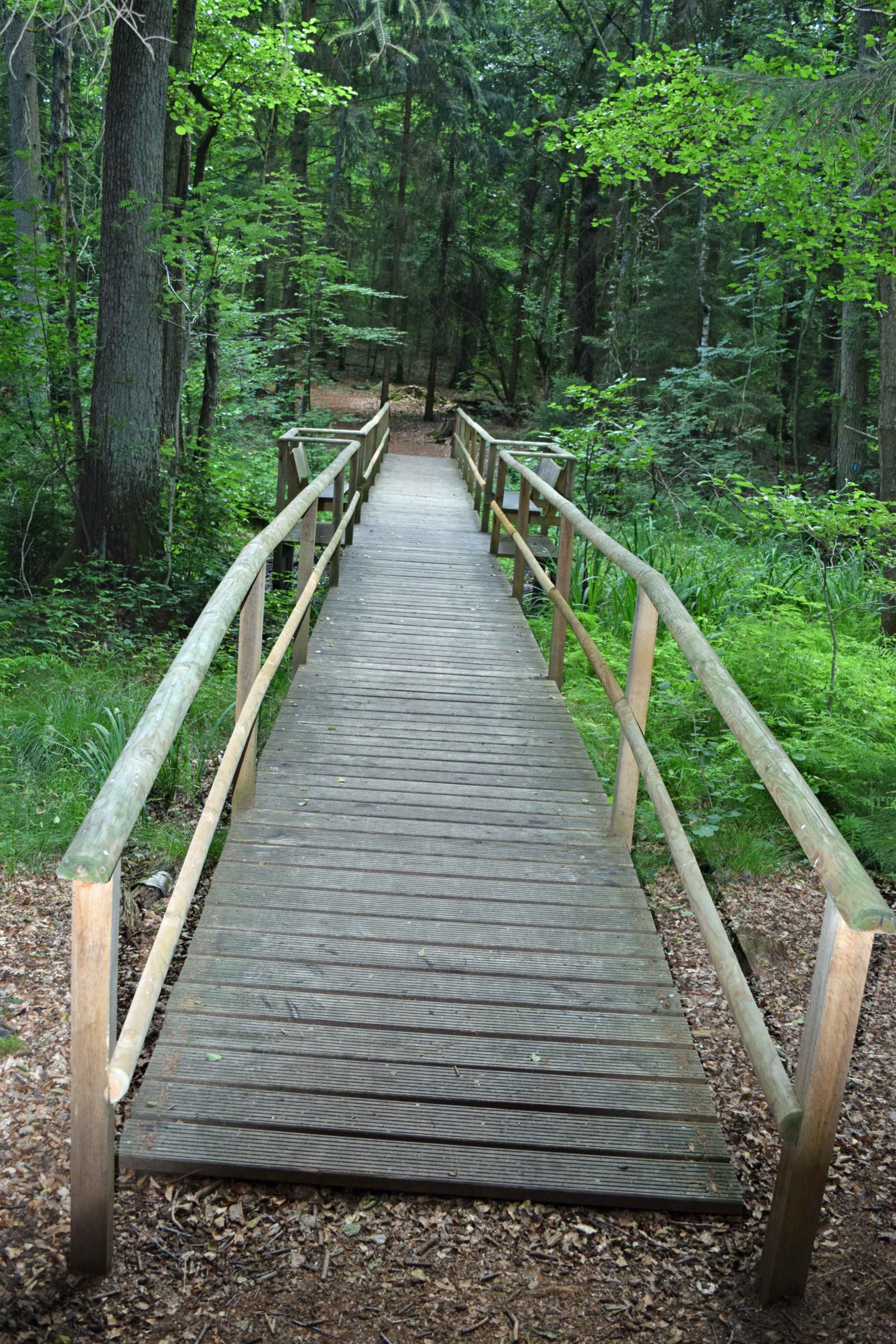 Brücke verbindet die Bestattungsfelder